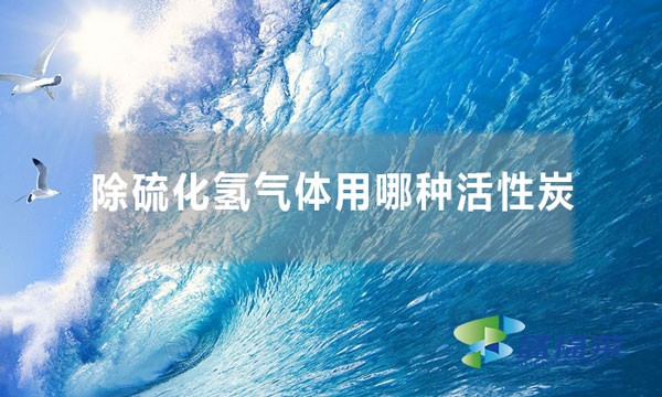 除硫化氢气体用哪种活性炭